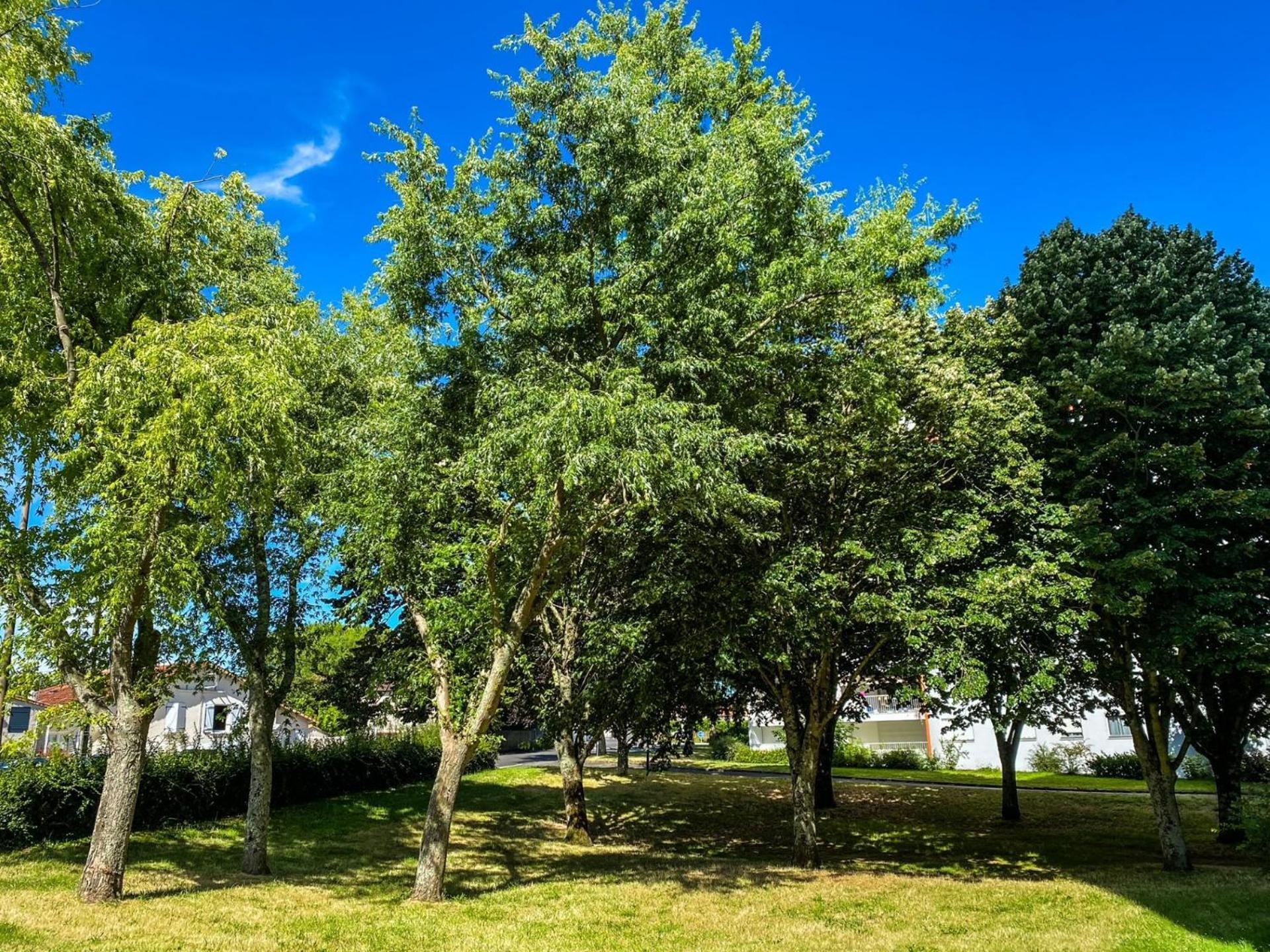 T3 Moderne Avec Balcon Terrasse Et Parking Gratuit Apartment Niort Exterior photo